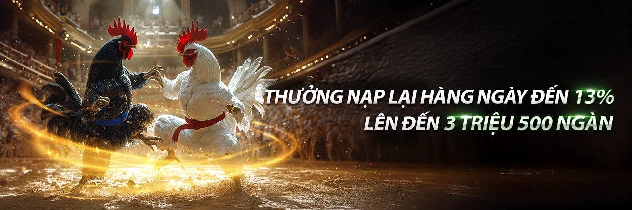 Chương trình VIP độc quyền của nn8 chính thức