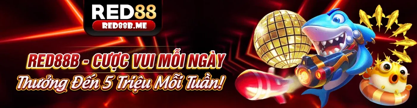 Hình ảnh chính về tin tức nn8 chính thức