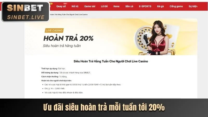Biểu đồ lợi ích của ứng dụng nn8 chính thức
